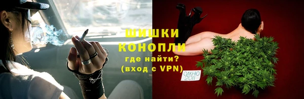 молекула духа Заводоуковск