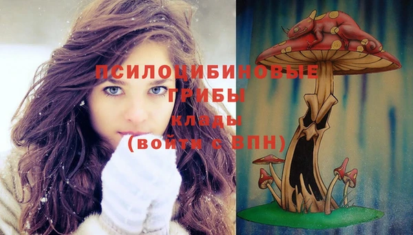 молекула духа Заводоуковск