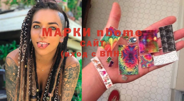 винт Ельня