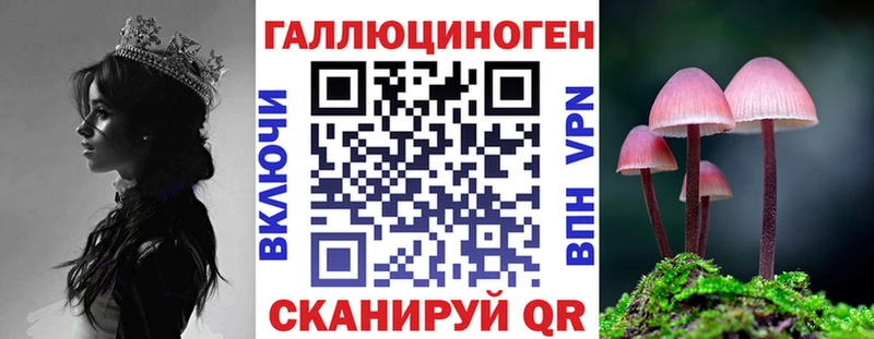 закладка  Каргат  Псилоцибиновые грибы Magic Shrooms 